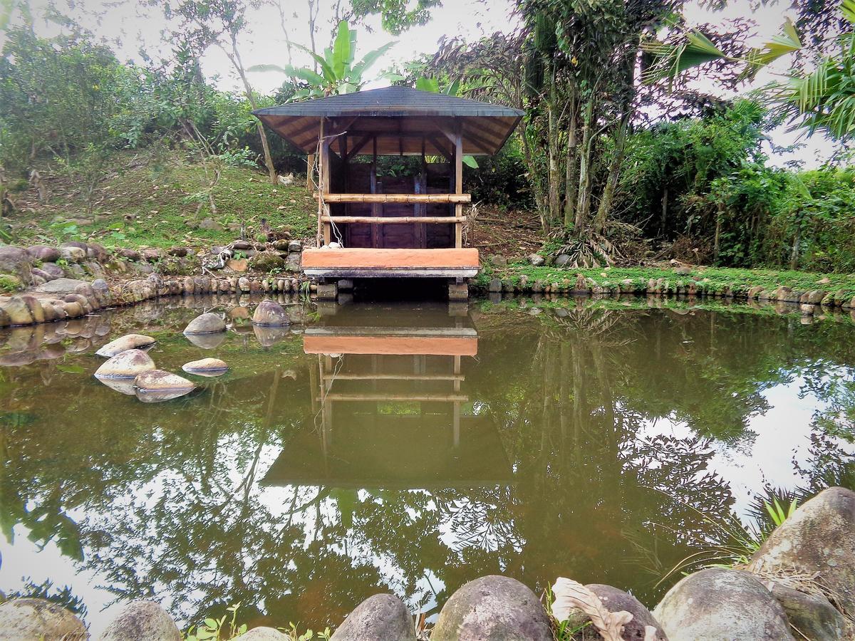 מלון טנה Wisdom Garden מראה חיצוני תמונה