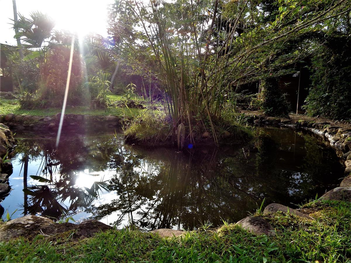 מלון טנה Wisdom Garden מראה חיצוני תמונה