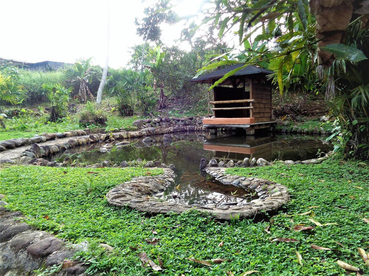 מלון טנה Wisdom Garden מראה חיצוני תמונה